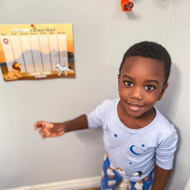 Potty Training Stickers & Chart