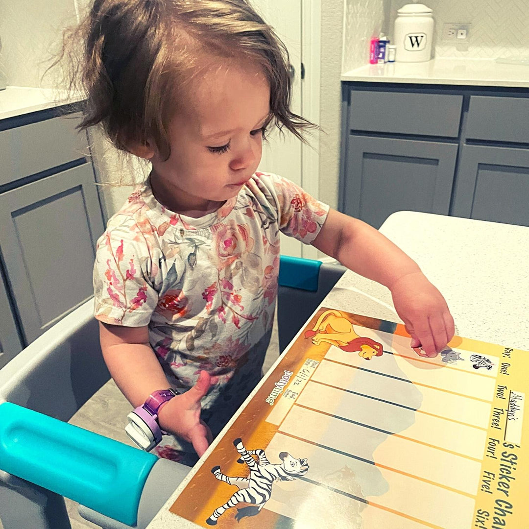 Potty Training Stickers & Chart