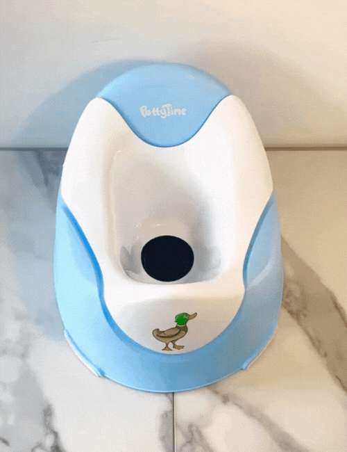 Potty Seat & Magic Color Reveal Stickers